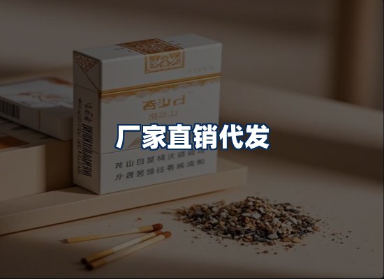 专业团队办公环境